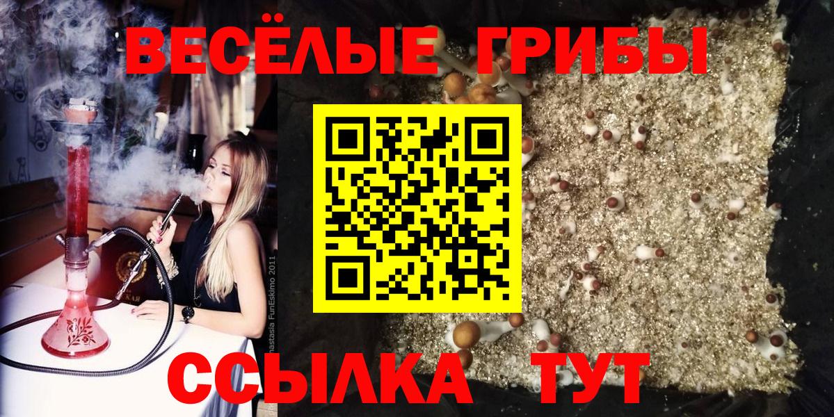 Галлюциногенные грибы MAGIC MUSHROOMS  Вход с VPN  Искитим 